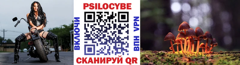 Псилоцибиновые грибы GOLDEN TEACHER  закладка  Новая Ляля 